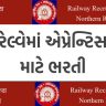 Railway Recruitment 2024 રેલવેમાં 4000 જગ્યાઓ પર ભરતી, ધોરણ-10 પાસને પરીક્ષા વિના જ મળશે નોકરી